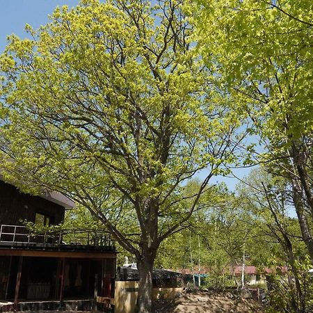 Artinn 極寒藝術伝染装置 弟子屈町 エクステリア 写真